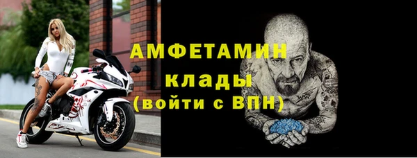 мдпв Богородск