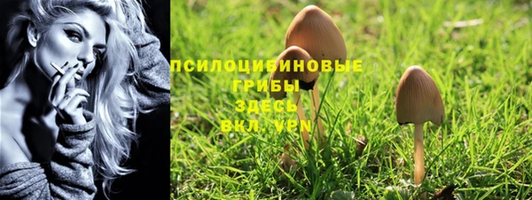 винт Богданович