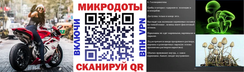 Галлюциногенные грибы Magic Shrooms  Купить где  Мосальск 